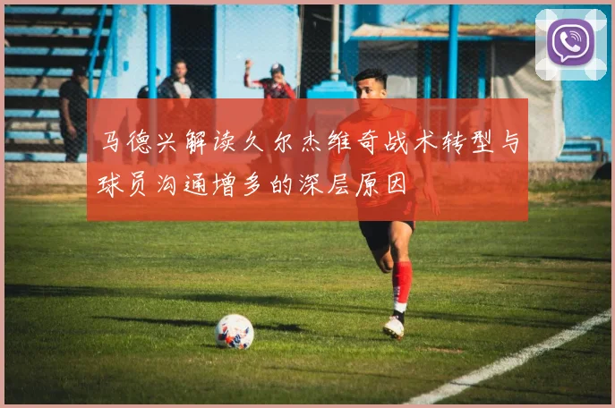 马德兴解读久尔杰维奇战术转型与球员沟通增多的深层原因