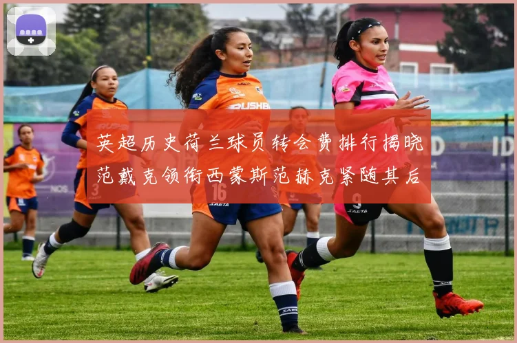 英超历史荷兰球员转会费排行揭晓范戴克领衔西蒙斯范赫克紧随其后
